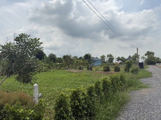 Bangkok, Real Estate For Sale, THB 690000,  6 BR,  100 Sq. Feet,  Empty Land For Sale, Nong Chok, Area 100 Square Meters, Near The Main Road.
