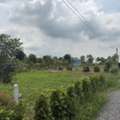 THB 690000,  6 BR,  100 Sq. Feet,  Empty Land For Sale, Nong Chok, Area 100 Square Meters, Near The Main Road.