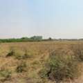 THB 1827500,  6 BR,  731 Sq. Feet,  Empty Land For Sale, Area 1-3-31 Rai, With Electricity, Tap Water, Nong Chok, Bangkok