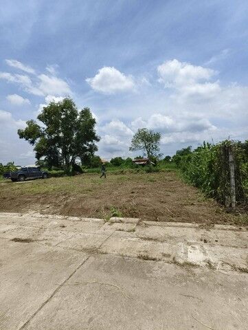 Bangkok, Real Estate For Sale, THB 490000,  6 BR,  50 Sq. Feet,  Empty Land For Sale, Area 50 Square Meters, Near Makro, Nong Chok, Bangkok