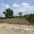 THB 490000,  6 BR,  50 Sq. Feet,  Empty Land For Sale, Area 50 Square Meters, Near Makro, Nong Chok, Bangkok