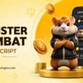 Top-Rated Hamster Kombat Clone Script For Modern Gaming Businesses