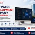 Software Development Company In Gurgaon For Business Growth