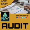 Audit Consultant