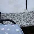 SAR 350/month,  3 BR,  One Furnished Bedspace Available Pakistani Muslim