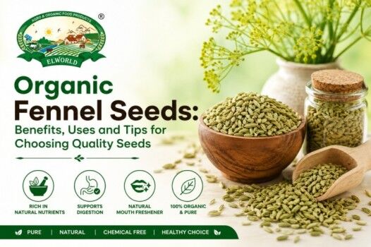 Noida, Food, Organic Fennel Seeds For Everyday Wellness
