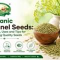 Organic Fennel Seeds For Everyday Wellness