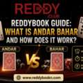 ReddyBook Guide: What Is Andar Bahar And How Does It Work?
