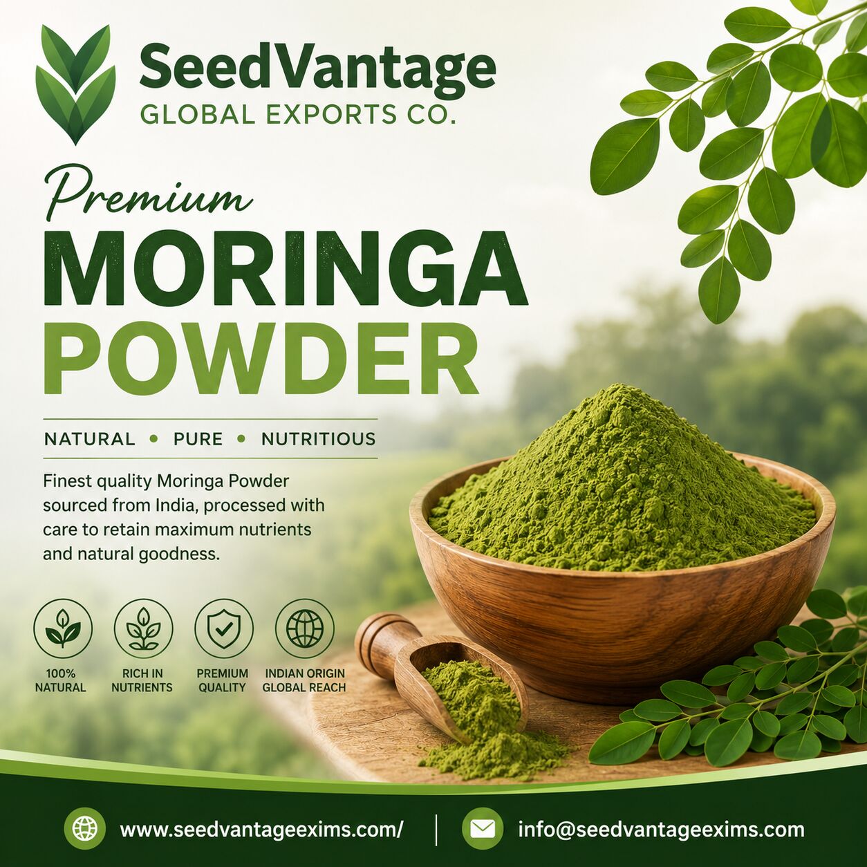 Mumbai, Food, High-Quality Moringa Powder For Food And Wellness Applications