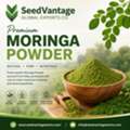 High-Quality Moringa Powder For Food And Wellness Applications