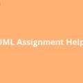 What Are The Key Components Of UML Assignment Help?