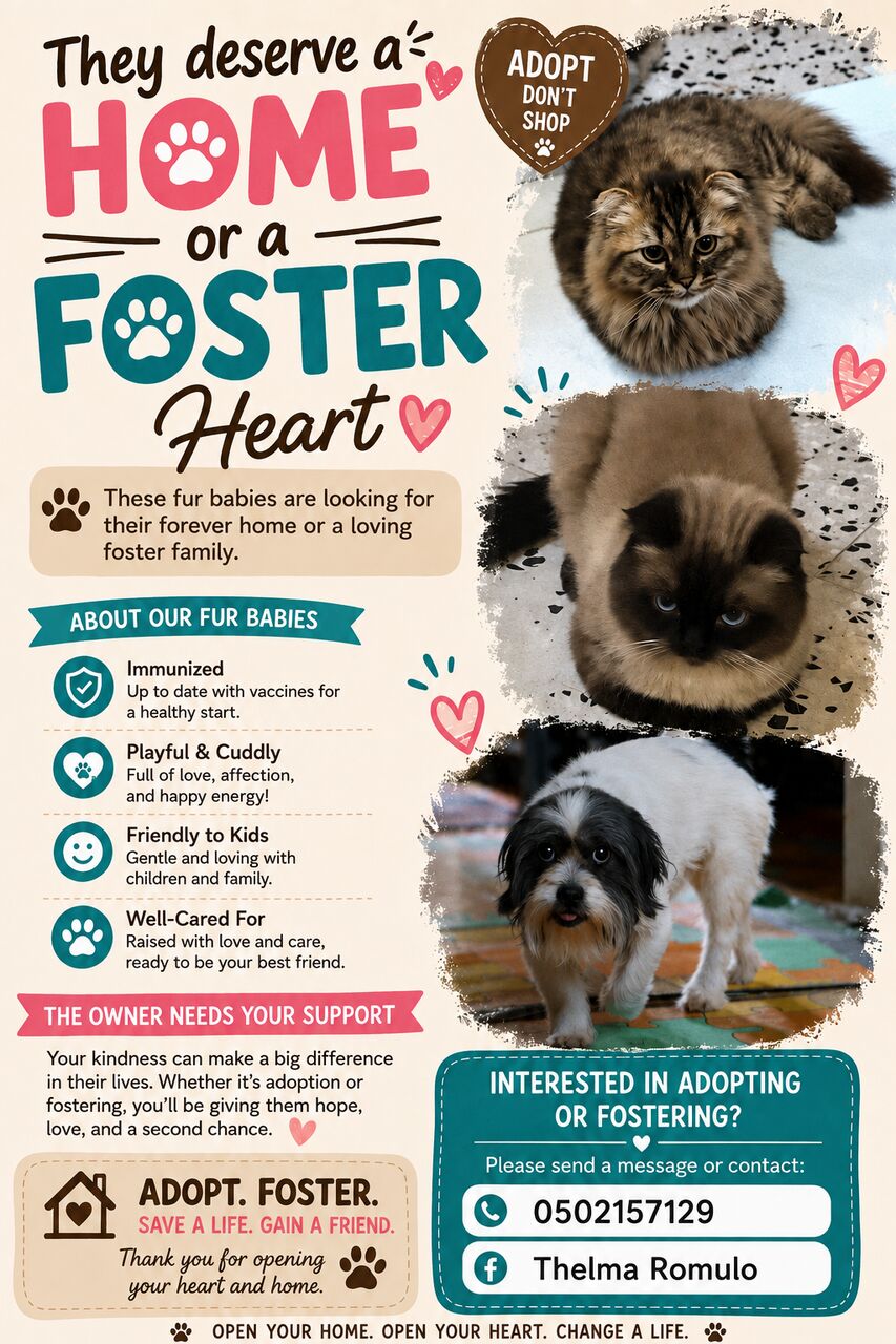 Riyadh, Pet Adoption, FOR ADOPTION/ FOSTER PARENTS
