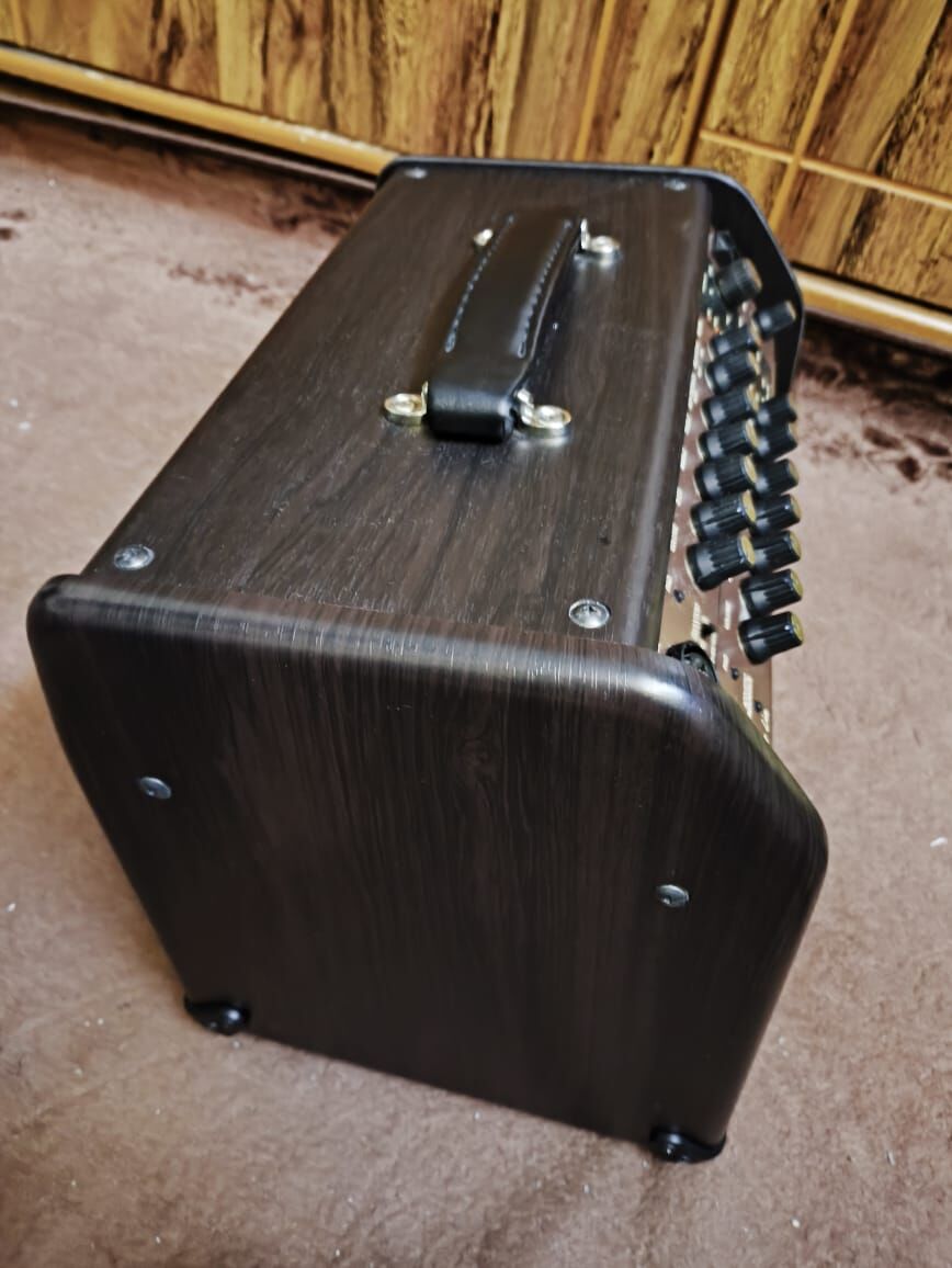 Ghirnatah, Musical Instruments, SAR 1500,  Boss Acoustic Singer Amp