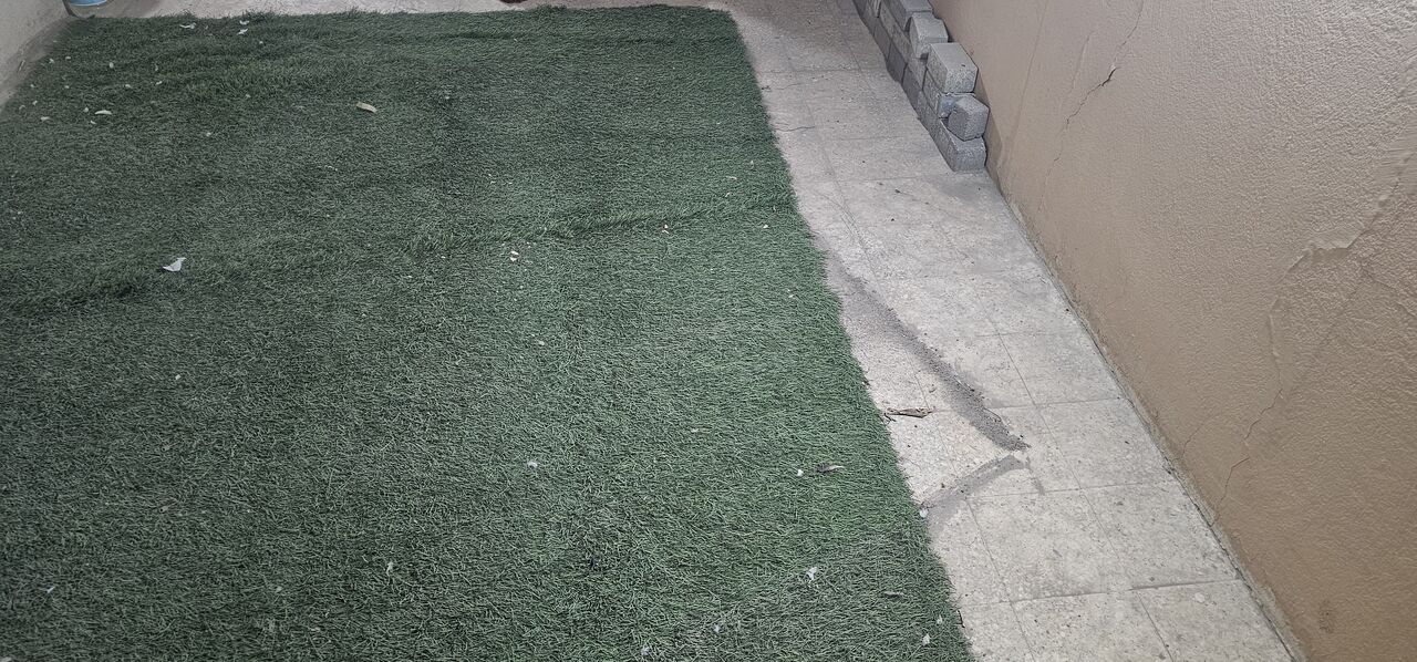 Jubail, Household Items, SAR 100,  Used Artificial Grass 3 PCs (4×2 Meters)