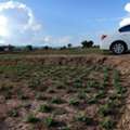 THB 500000,  6 BR,  405 Sq. Feet,  Good Land Next To The Clear Nan River Flowing All Year Round. For Rent Next To The Nan
