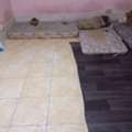 SAR 300/month,  Bed Space Available