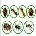 Professional Pest Control Company