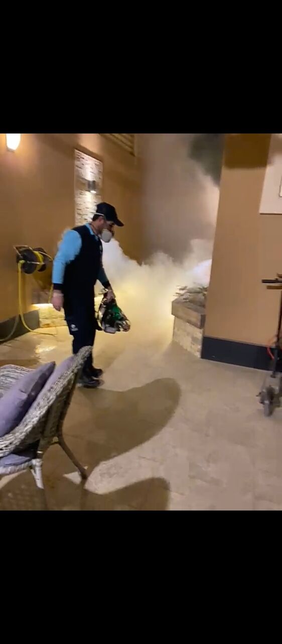 Riyadh, Pest Control, Professional Pest Control Company