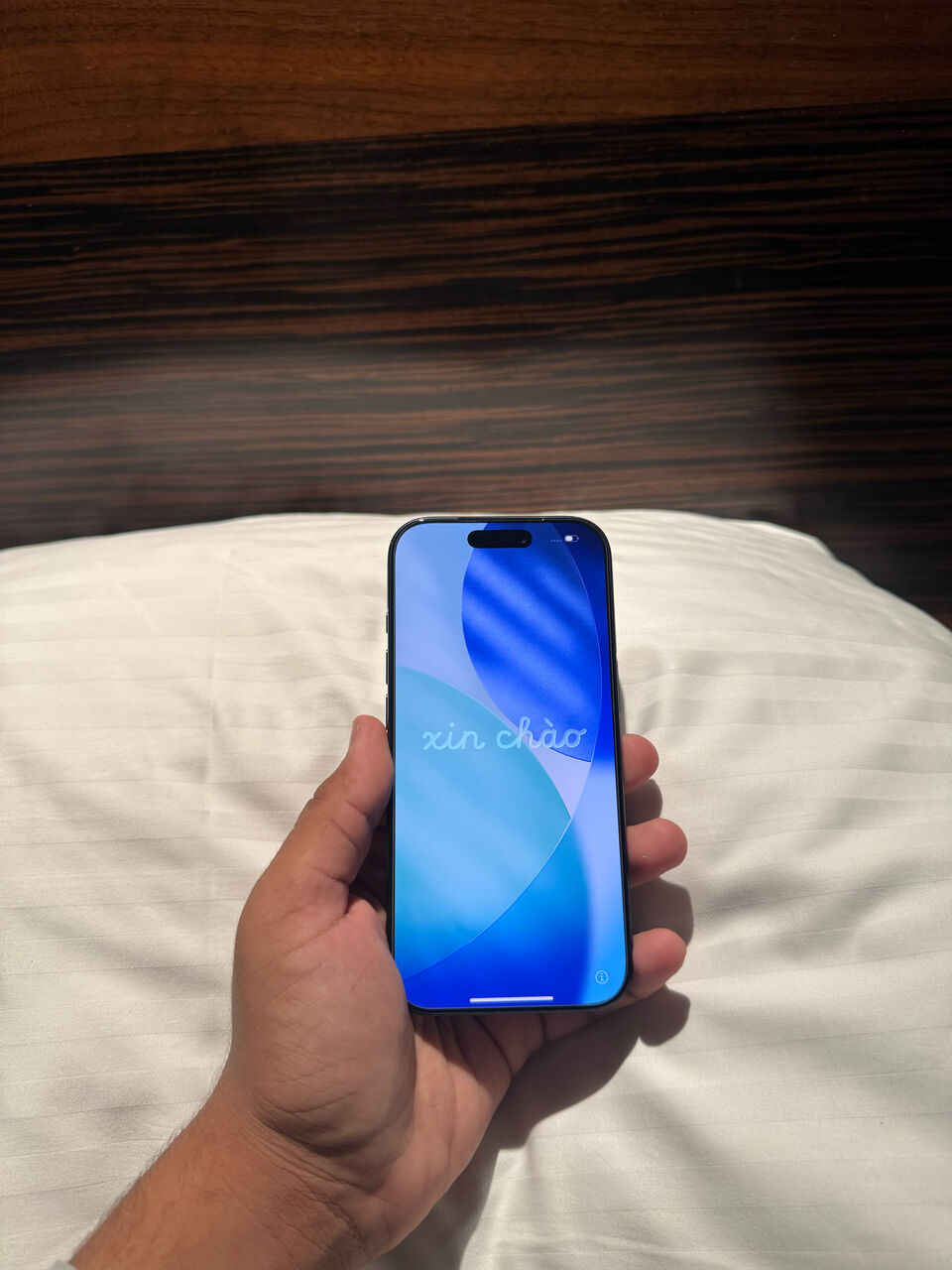 Riyadh, Mobile Phones, SAR 4199,  IPhone 17 Pro 256GB