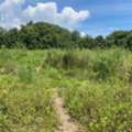 THB 500000,  6 BR,  1235 Sq. Feet,  Juicy All Year Long, Beautiful View Of A Million Baht, Land Next To A Stream. For Rent