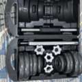 SAR 180,  DUMBbells