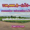 THB 1376250,  6 BR,  734 Sq. Feet,  Cheap Real Estate Land Is Sold Cheaper Than Anyone Else In This Area At Khlong 11, Nong