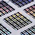Choose Veritech Among Trusted Product Label Manufacturers