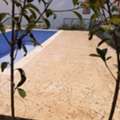 Stamped Concrete Finishing Service