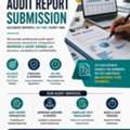 Professional Audit Report Submission Services | Bahrain & Saudi Arabia