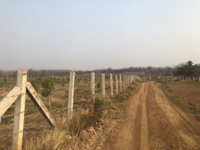 Bangkok, Real Estate For Sale, THB 160000,  6 BR,  41381 Sq. Feet,  For Sale And Rent, Great Price, Number One Location Land Title Deed For Sale In Lom Kao,
