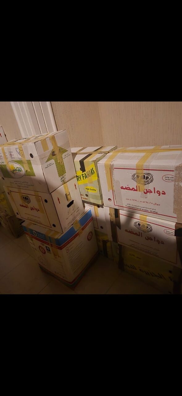 Riyadh, Labor/Moving, ★☆★STAR★ MOVERS=PACKERS=CLEANERS☆PEST CONTROLTOTAL SOLUTION@ BEST PRICE(056.306.3700)🏡29"