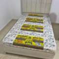 SAR 2,  All Types Of High Quality Simgle Bed ,medium Bed And Double Bed Available