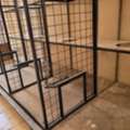 SAR 3000,  Cage For Small Animal