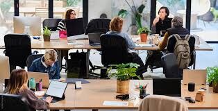 New York, Web Design & Development, Cash Control In Illinois