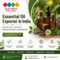 Essential Oil Export Company In India