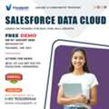 Salesforce Data Cloud Course | Live Online Training