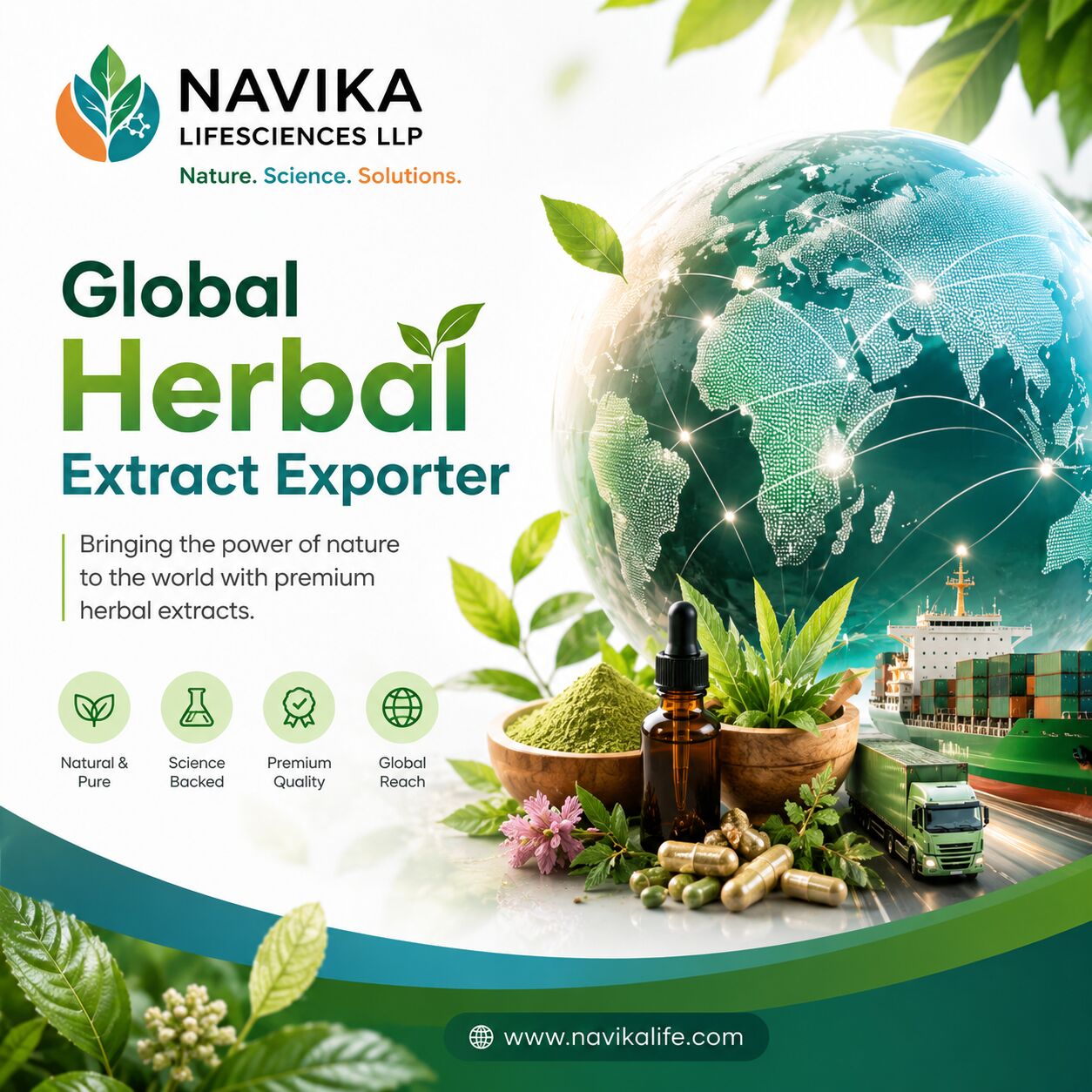 Mumbai, Health, Medicinal Plant & Herbs | Botanical & Herbal Extracts