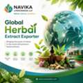 Medicinal Plant & Herbs | Botanical & Herbal Extracts