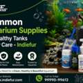 Common Aquarium Supplies For Healthy Tanks & Easy Care - Indiefur