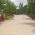 INR 23000,  237 Sq. Yard,  HMDA & RERA FINAL APPROVED Open Plots For Sale @ Maheshwaram
