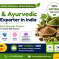 Herbal & Ayurvedic Powders Exporter In India | GLEE IMPEX