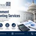 Reliable Government Accounting Services