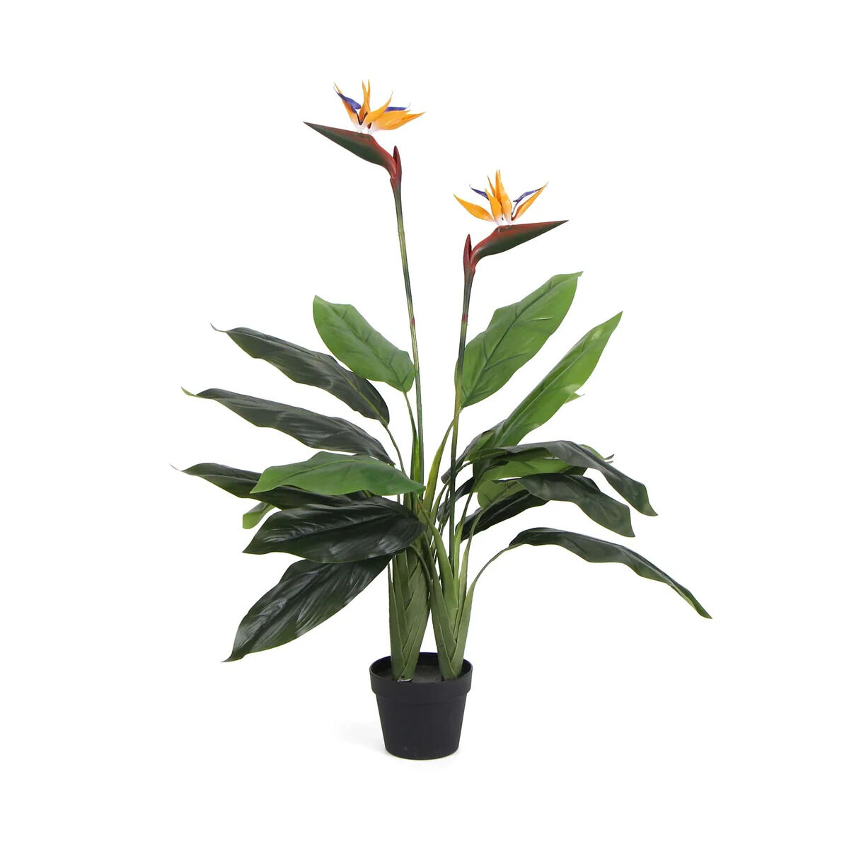 Melbourne, Heavy Equipment, Premium Artificial Plants Melbourne For Every Space