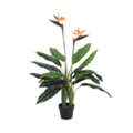 Premium Artificial Plants Melbourne For Every Space