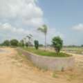 INR 35000,  183 Sq. Yard,  HMDA & RERA APPROVED Open Plots For Sale @ Adibatla