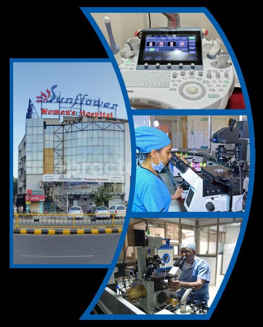 Ahmedabad, Health, Best IVF Center In Ahmedabad | Sunflower Hospital