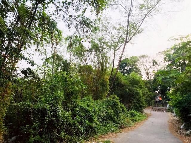 Bangkok, Real Estate For Sale, THB 6890000,  6 BR,  208 Sq. Feet,  Land For Sale, 208 Sq M, Next To The Water, Soi Nawamin 24 (Soi Uthen 8), Near Nawamin