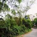 THB 6890000,  6 BR,  208 Sq. Feet,  Land For Sale, 208 Sq M, Next To The Water, Soi Nawamin 24 (Soi Uthen 8), Near Nawamin