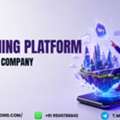 Build Scalable Metaverse Gaming Worlds With NFT Gaming Platform Development