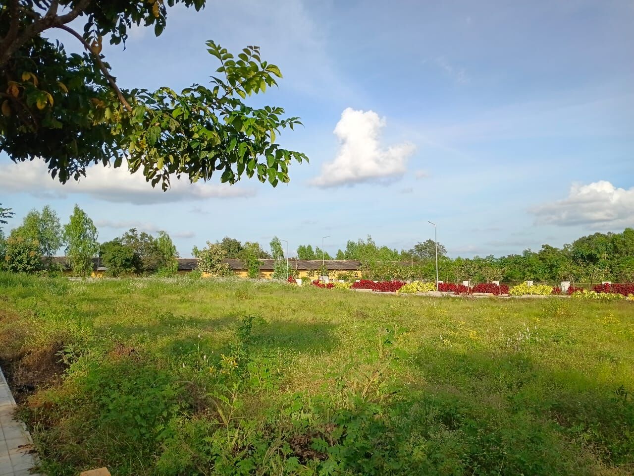 Hyderabad, Residential Plots, INR 23000,  243 Sq. Yard,  HMDA&RERA FINAL APPROVED Open Plots For Sale @Maheshwaram